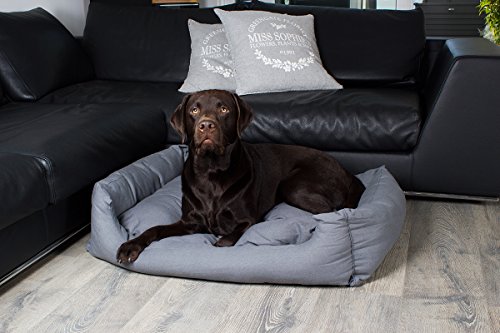 SAUERLAND Cama para Perros en Gris Moderno, 120x80 cm con colchoneta Reversible, colchoneta para Perro Lavable