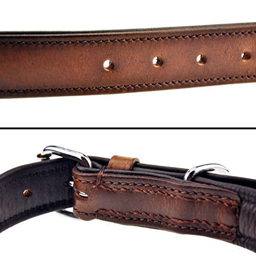 Schnüffelfreunde Collar de Perro de Cuero (M - 28-36cm, Marrón)