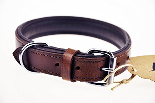 Schnüffelfreunde Collar de Perro de Cuero (M - 28-36cm, Marrón)