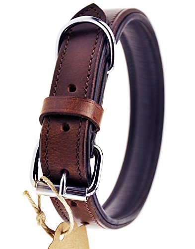 Schnüffelfreunde Collar de Perro de Cuero (M - 28-36cm, Marrón)