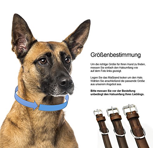 Schnüffelfreunde Collar de Perro de Cuero (M - 28-36cm, Marrón)