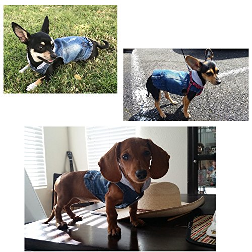 SILD - Chaqueta Vaquera con Capucha para Perros medianos y pequeños, diseño Vintage Desgastado, Color Azul (S)