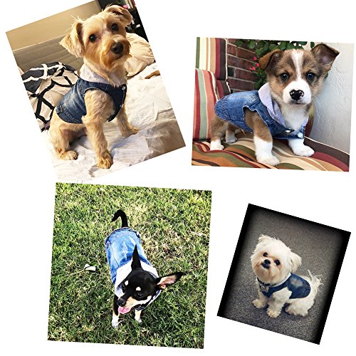 SILD - Chaqueta Vaquera con Capucha para Perros medianos y pequeños, diseño Vintage Desgastado, Color Azul (S)