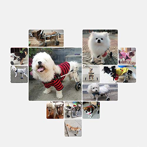 Silla de ruedas para mascotas Tamaño ajustable para el perro Hind Limb entrenamiento Scooter auxiliar, una variedad de modelos adecuados para 2-50 KG Ropa para mascotas ( Color : Red , Tamaño : XXS )