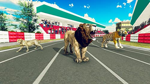 simulador de carreras de animales salvajes: juego de carreras de derby de zoológico para niños