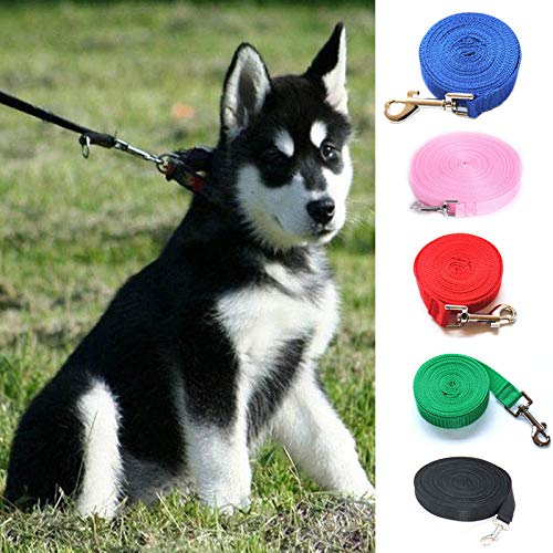 SITAOTU Correas para Perros Correa De Plomo para Mascotas para Perros Gatos Rojo Verde Azul Nylon Walk Correa para Perros Tamaño Outdoor Security Training Arnés para Perros 8A0966 10M Negro