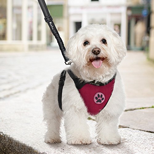 SlowTon Arnés para automóvil, Arnés de Chaleco para Mascotas para Perros Seguridad en el Coche Cuello Ajustable y Correa para el Pecho(S, Vino Rojo (arnés de Perro Solamente)