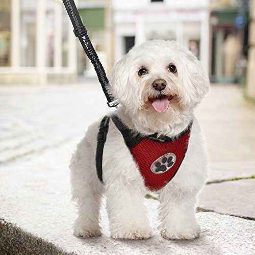 SlowTon Arnés para automóvil,(Sin cinturón de Seguridad) Arnés de Chaleco para Mascotas para Perros Seguridad en el Coche Cuello Ajustable y Correa para el Pecho （XXS）