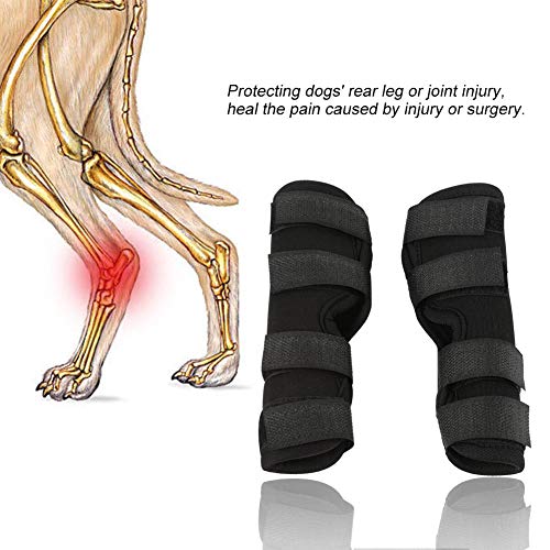 Smandy Almohadillas para la Rodilla del Perro, 1 par de Perro Patas traseras Brace Mascota Lesión quirúrgica Vendaje del Vendaje Cura Protector de la Herida(Negro, l)