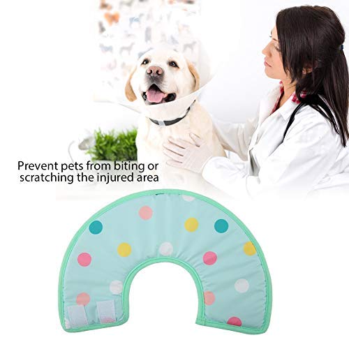 Smandy Recuperación Mascota Cono Mascota Gato Perro Esponja Suave Cono Collar Protector Ajustable Anti mordida Lick Herida Cuello de Seguridad Cuello de Seguridad para Perro Cat(M)