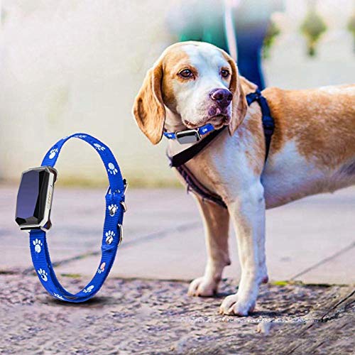 SNAWEN Rastreador GPS para Collar de Mascotas con micrófono para Perros Gatos Mini GPS en Tiempo Real + Beidou + WF + LBS + AGPS Localizador de rastreo Rastreador de Mascotas Anti-perdidas-L