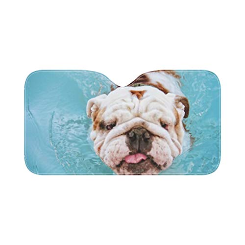 Sombrilla para parabrisas, perro divirtiéndose Piscina pública local Persiana plegable para automóvil Universal para automóviles Camioneta todoterreno, mantenga su vehículo fresco-55 X 30 pulgadas