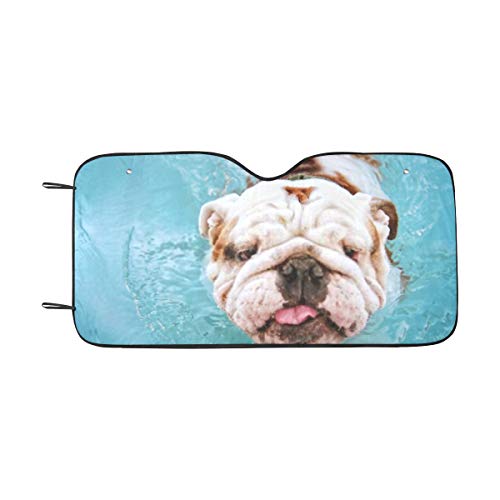 Sombrilla para parabrisas, perro divirtiéndose Piscina pública local Persiana plegable para automóvil Universal para automóviles Camioneta todoterreno, mantenga su vehículo fresco-55 X 30 pulgadas