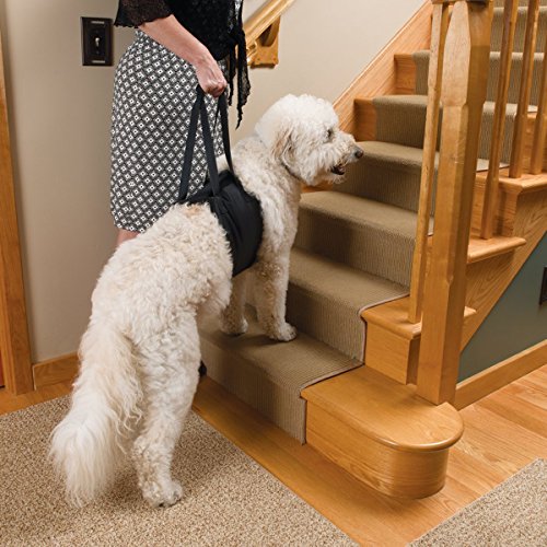 Soporte para Perros - Arnés canino para Ayudar a la rehabilitación, para Perros con Patas traseras débiles - Talla M