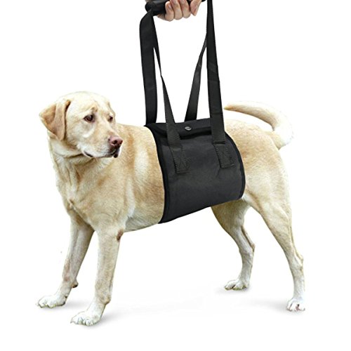 Soporte para Perros - Arnés canino para Ayudar a la rehabilitación, para Perros con Patas traseras débiles - Talla M