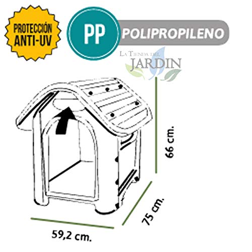 Suinga CASETA Perro Resina pequeña 75x60x66 cm. Garantiza una solida protección y Resistencia a Todo Tipo de climatologías. Suelo Alto para aislar de la Humedad