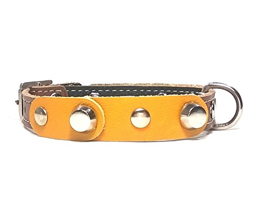 Superpipapo Original Collar de Piel para Perros Pequeños, Cachorros y Chihuahuas, Correa Opcional, Diseño con Pinchos y Cuero Amarillo Marrón, 25 cm XXXS: Cuello 15-20 cm, Ancho 13mm