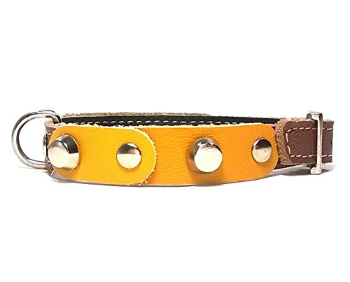 Superpipapo Original Collar de Piel para Perros Pequeños, Cachorros y Chihuahuas, Correa Opcional, Diseño con Pinchos y Cuero Amarillo Marrón, 25 cm XXXS: Cuello 15-20 cm, Ancho 13mm