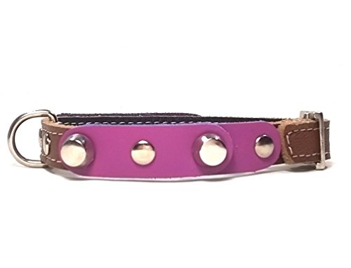 Superpipapo Original Collar de Piel para Perros Pequeños, Cachorros y Chihuahuas, Correa Opcional, Diseño con Pinchos y Cuero Lila Marrón, 25 cm XXXS: Cuello 15-20 cm, Ancho 13mm