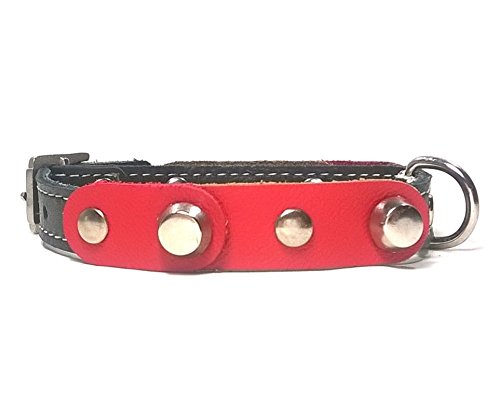 Superpipapo Original Collar de Piel para Perros Pequeños, Cachorros y Chihuahuas, Correa Opcional, Diseño con Pinchos y Cuero Rojo Negro, 25 cm XXXS: Cuello 15-20 cm, Ancho 13mm