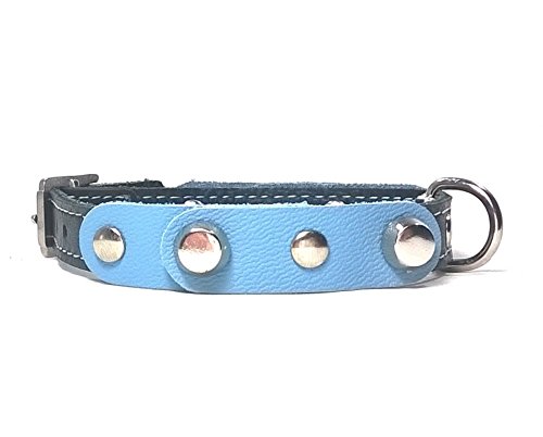 Superpipapo Original Collar de Piel Perros Pequeños, Cachorros y Chihuahuas, Correa Opcional, Diseño con Pinchos y Cuero Azul Claro Negro, 30 cm XXS: Cuello 20-25 cm, Ancho 13mm