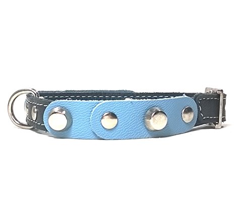 Superpipapo Original Collar de Piel Perros Pequeños, Cachorros y Chihuahuas, Correa Opcional, Diseño con Pinchos y Cuero Azul Claro Negro, 30 cm XXS: Cuello 20-25 cm, Ancho 13mm