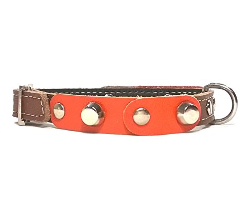 Superpipapo Original Collar de Piel Perros Pequeños, Cachorros y Chihuahuas, Correa Opcional, Diseño con Pinchos y Cuero Naranja Marrón, 30 cm XXS: Cuello 20-25 cm, Ancho 13mm