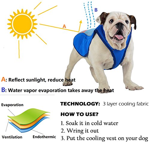 SymbolLife Chaleco de Refrigeración para Perro Chaleco Refrescante Chaleco Arnés de Refrigeración Transpirable Azul/Amarillo (S, Azul)