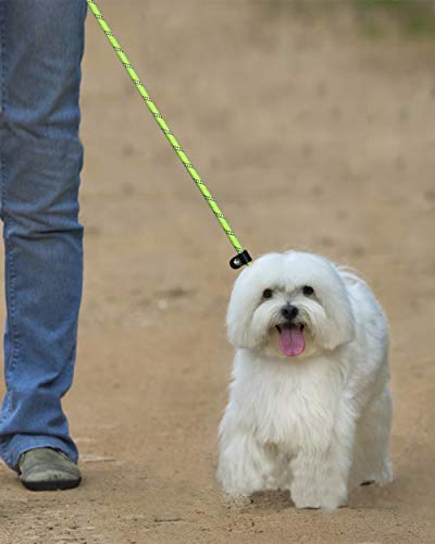 Taglory Correa de Perro,Correa y Collar para Perro,Cuerda Que Sube reflexiva Redonda Durable,Correa de Deslizamiento para Perros pequeños y medianos, 1.85M Verde