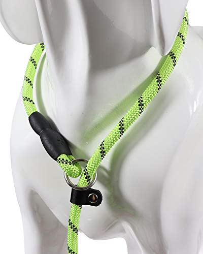 Taglory Correa de Perro,Correa y Collar para Perro,Cuerda Que Sube reflexiva Redonda Durable,Correa de Deslizamiento para Perros pequeños y medianos, 1.85M Verde