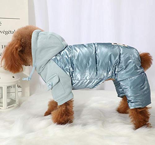 TAYIBO Invierno Abrigo de Perro para Perros pequeños,Ropa para Mascotas de otoño e Invierno, Perros pequeños Que Ropa de Oso Ropa de Peluche de Cuatro Patas - Azul_M