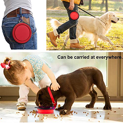 Tazón para Perro, Gato Recipiente para Perros Comedero para Mascotas Bebedero Portátil Plegable de Viaje Cuenco Recipiente Plato Silicona para Perro Gato con Mosquetón (S, Rojo)