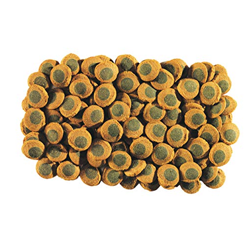 Tetra - Galletas Pleco para peces (42g) (Variado)