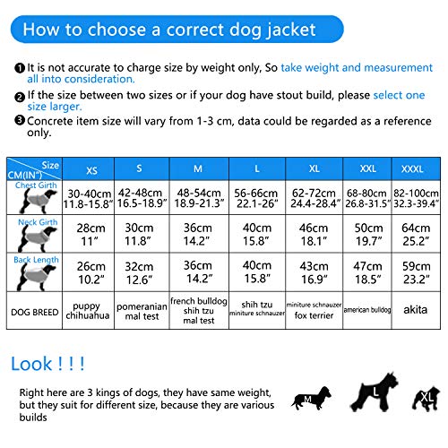 ThinkPet Chaqueta Perro Reversible Ropa para Perro Escocesa Abrigo Perro Impermeable de Cuadros británicos para Perros pequeños