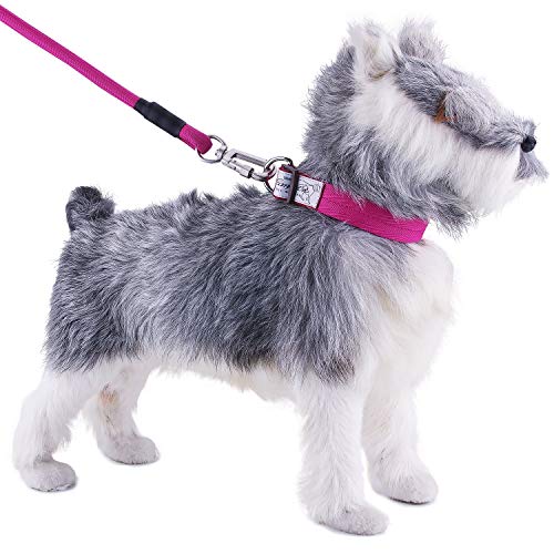 ThinkPet ComfortPro Kit de Correa y Collar Perro Conjunto Correa de Cuerda Resistente y Collar Ajustable para Perros Mediano Grande para Paseo