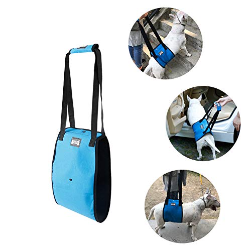 Tineer Arnés para Levantar Perros para Perros de Edad Avanzada o discapacitados - Soporte Sling Ayuda Posterior Piernas débiles Levántese, camine, suba escaleras (S, Azul)