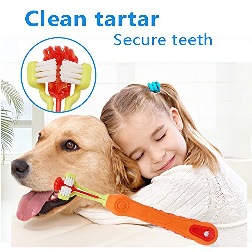 TOOGOO 1pz Cepillo de Dientes para Mascotas Cuidado de los Dientes sarro Mal Aliento de adicion Suministros de Limpieza para Gato Perro-Naranja