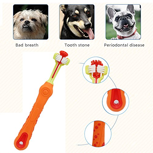 TOOGOO 1pz Cepillo de Dientes para Mascotas Cuidado de los Dientes sarro Mal Aliento de adicion Suministros de Limpieza para Gato Perro-Naranja