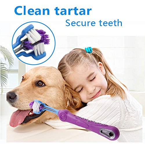 TOOGOO 1pz Cepillo de Dientes para Mascotas Cuidado de los Dientes sarro Mal Aliento de adicion Suministros de Limpieza para Gato Perro-Purpura