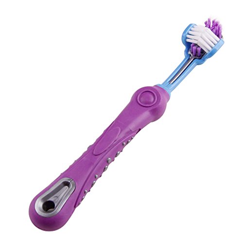 TOOGOO 1pz Cepillo de Dientes para Mascotas Cuidado de los Dientes sarro Mal Aliento de adicion Suministros de Limpieza para Gato Perro-Purpura