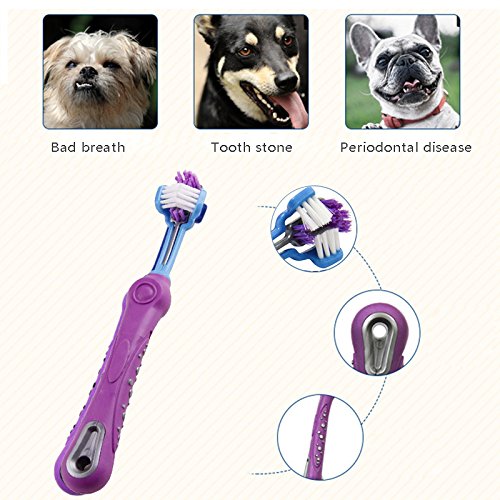 TOOGOO 1pz Cepillo de Dientes para Mascotas Cuidado de los Dientes sarro Mal Aliento de adicion Suministros de Limpieza para Gato Perro-Purpura