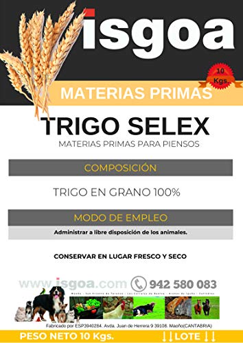 Trigo para Gallinas, Pollos. Saco10 Kg Isgoa