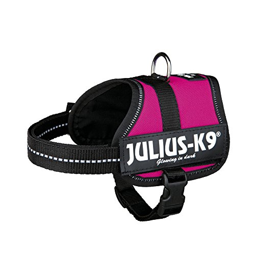 Trixie - Arnés modelo Julius-K9 para perro (Grande (L)) (Fucsia)