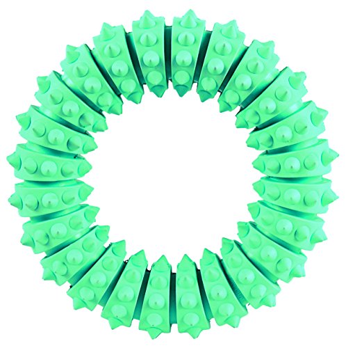 Trixie Denta Fun caucho Natural Menta Fresca Anillo para perro, 12 cm, 1 unidad