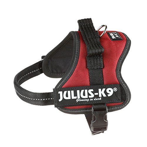 Trixie Julius-k9 Cables de alimentación Mini-Mini/S 40 – 53 cm, Color Rojo