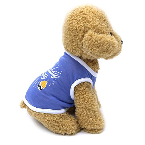 TWBB Ropa para Perros pequeños, Mascota Perro CumpleAños Camisa Chaleco Letra Impresa Camiseta Abrigo Mascotas Gato Ropa de Abrigo Camiseta para Pequeño Chihuahua Yorkshire Mascota Cachorros