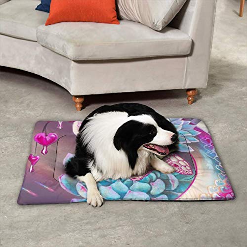 TYHG - Alfombrilla grande para mascotas con diseño de aperitivos y suculentos, antideslizante, cómoda y antideslizante, para dormir, para mantener el calor jugando, negro, 35"x23"