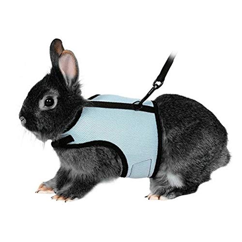 UEETEK Arnés suave con plomo para conejos Bunny elástica - talla L (azul cielo)