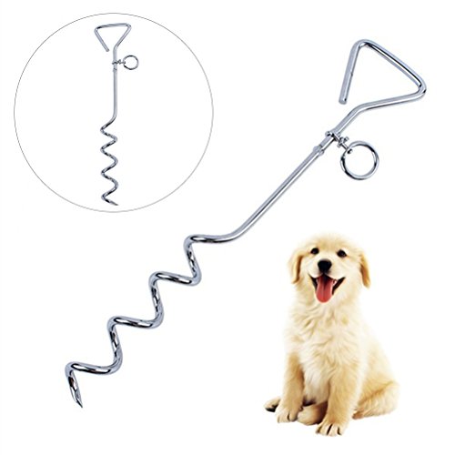 UEETEK De Estaca De Acero Inoxidable con Punta En Espiral Y Correa para Atar Al Perro En Exteriores,para Atar Al Perro con Correa,para Perros PequeñOs Y Medianos (Plata)