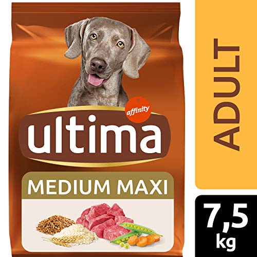 ultima Pienso para Perros Medium-Maxi Adulto con Buey - 7.5 kg